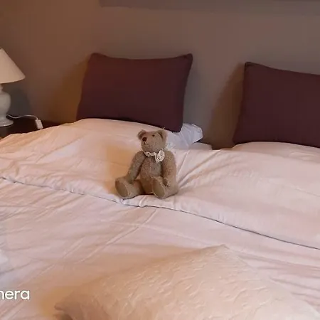 Ter Brugge Bed and breakfast 4*